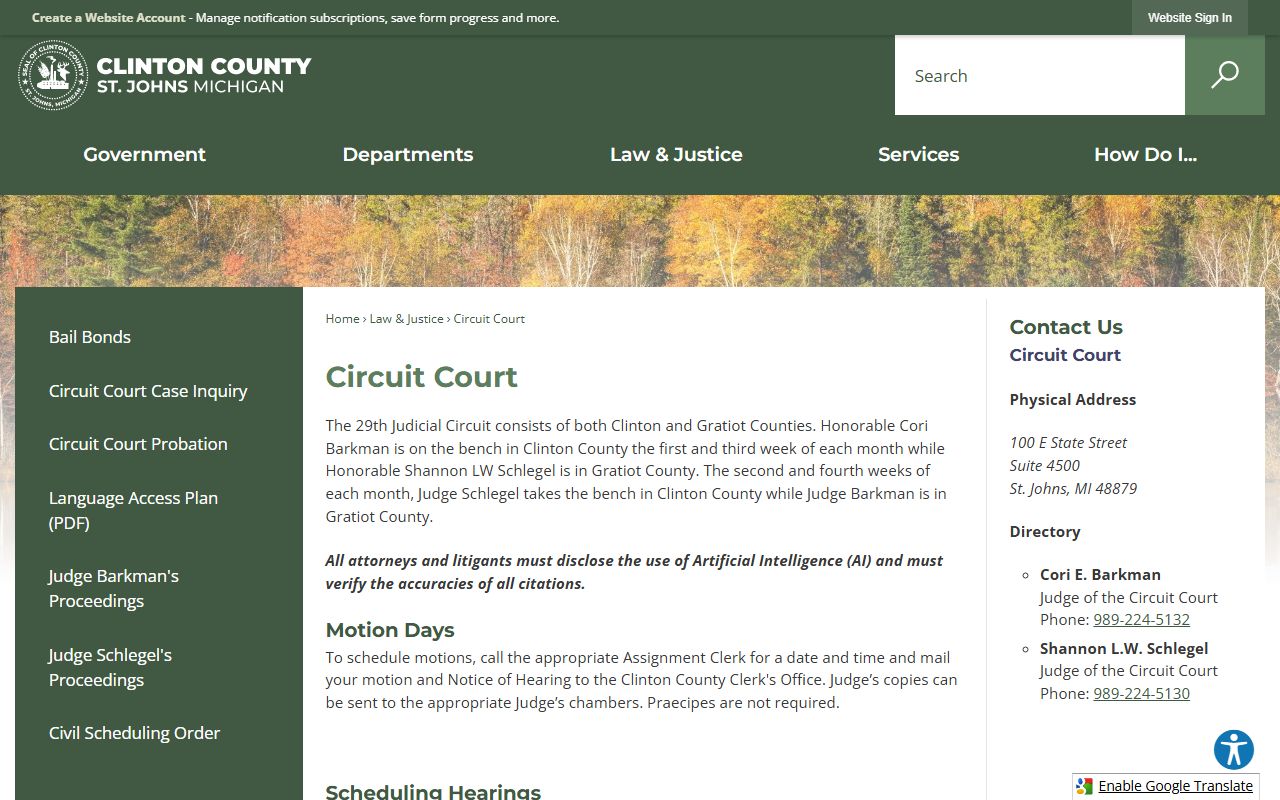 Clinton County 29th Circuit Court page with court records information